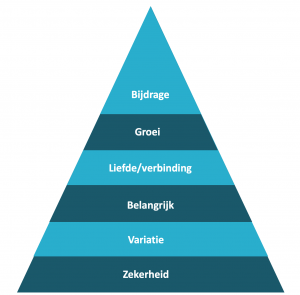 Piramide 6 Basisbehoeften