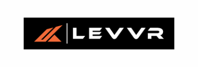 levvr in2coaching